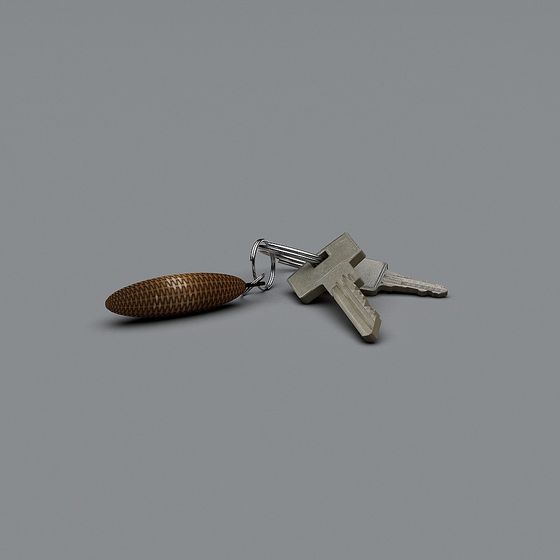 Elegant Key and Woven Keychain 3D Model