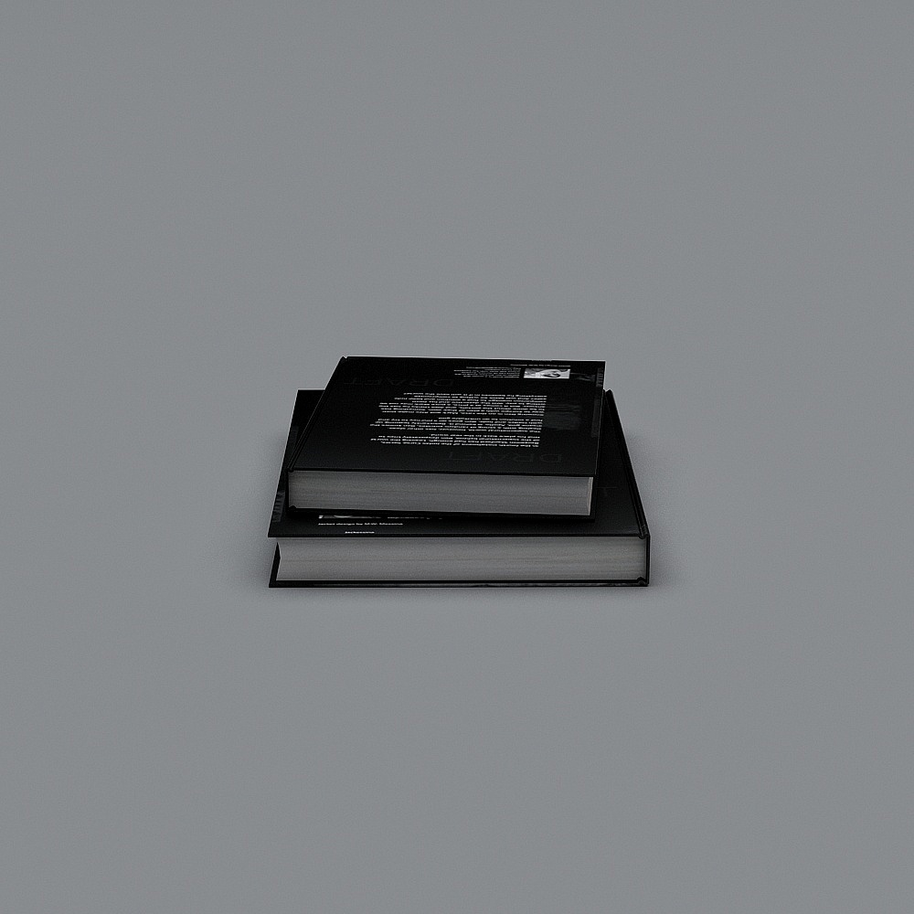 Draft 3D Book Model with High Detail