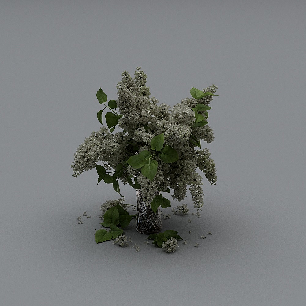 Bình Hoa Trồng Cây