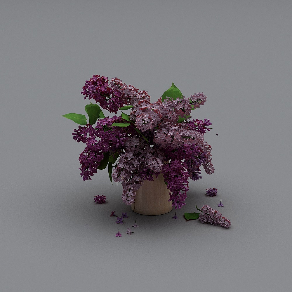 Plant purple flowers vase