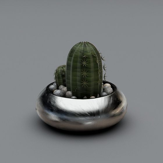 Desert Oasis 3D model for Modern Interiors