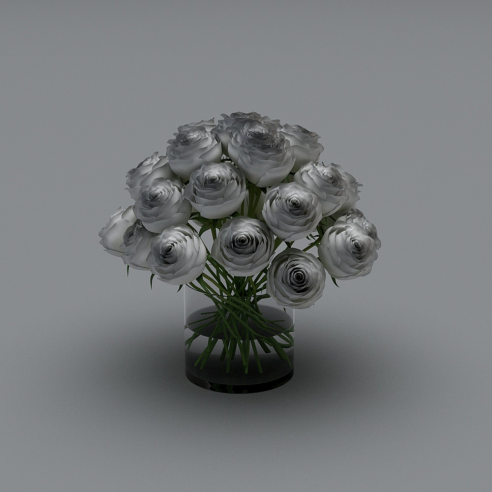 Plant white flowers black vase