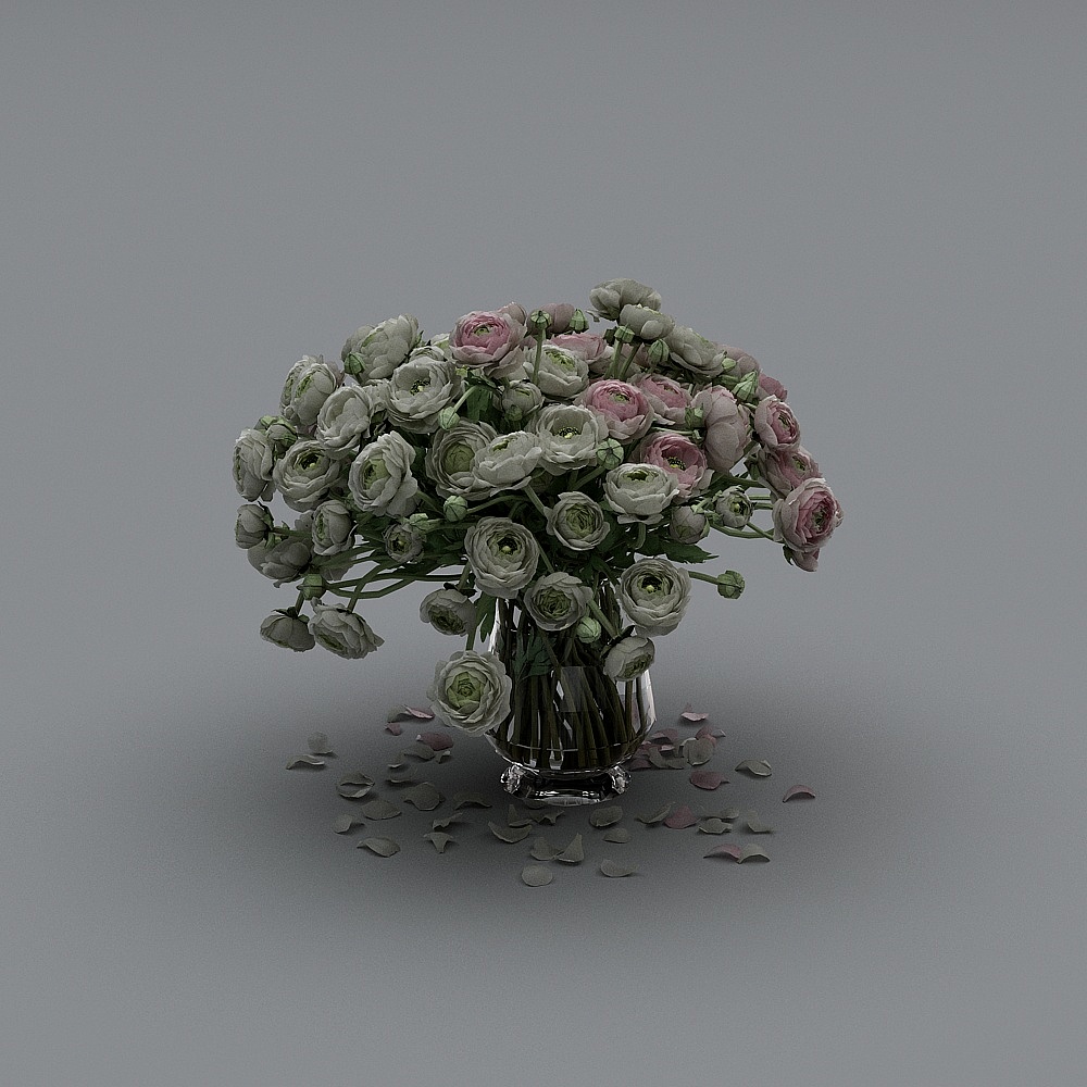 Plant flowers vase