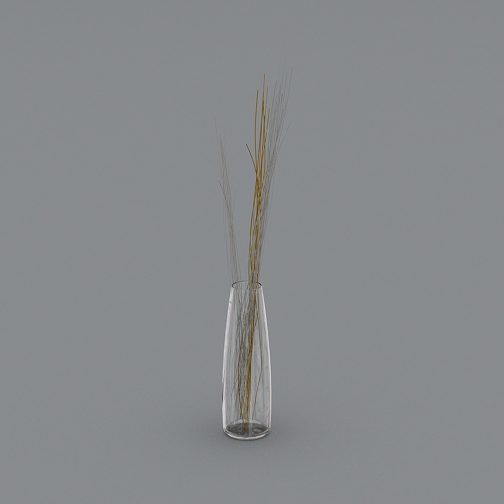 Plant flowers glass vase