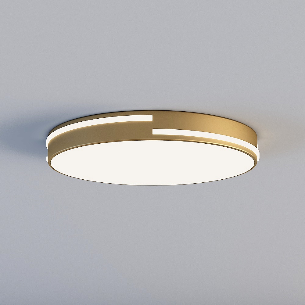 Ceiling light