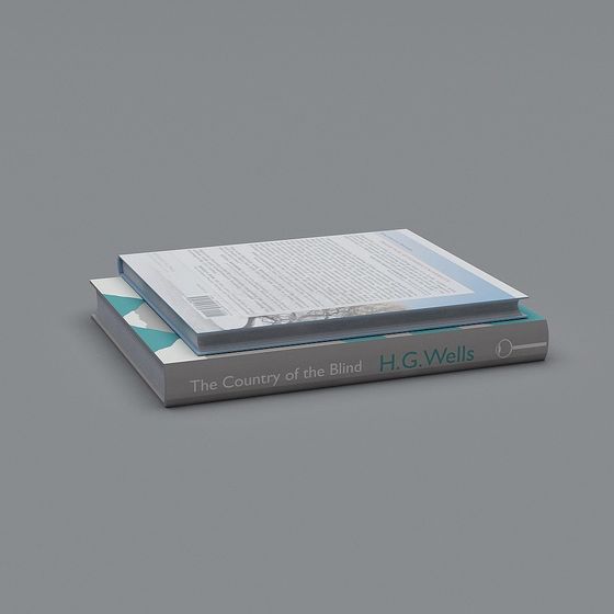 Realistic Book Model: Invisible Countryside & Blind Nation 3D model