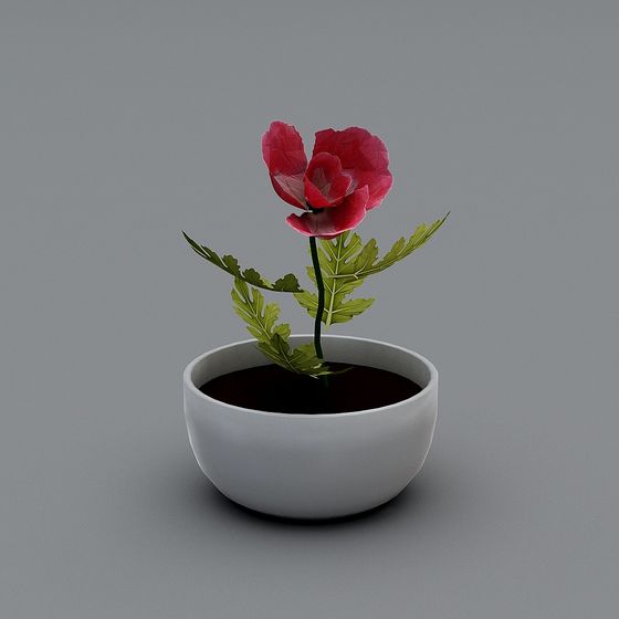 Potted Poppy 3D Model for Creative Projects
