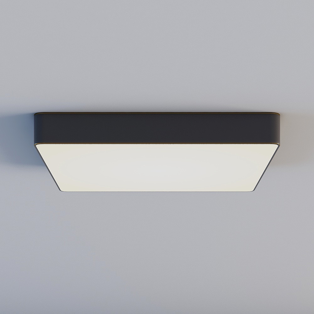 Ceiling light