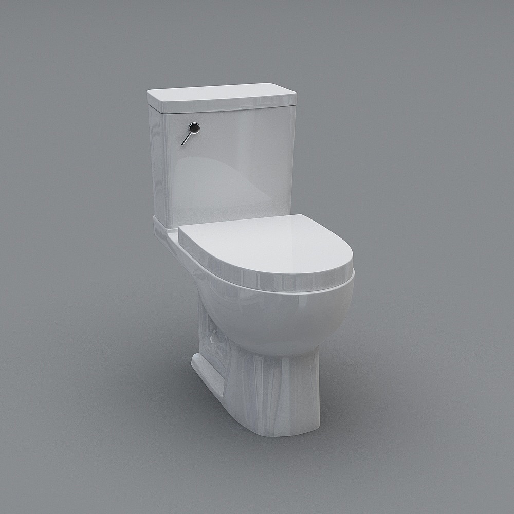 toilet