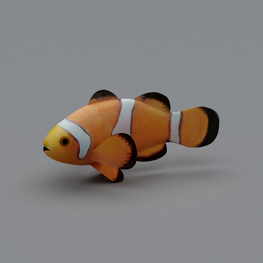 Colorful Clownfish 3D Model for Creative Projects