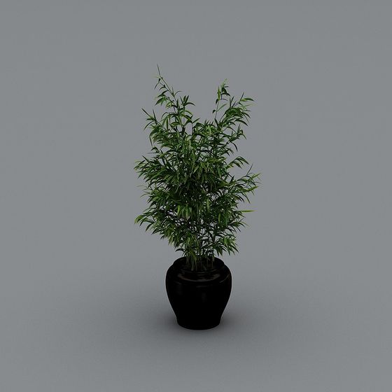 Realistic Bamboo Potted Plant 3D model