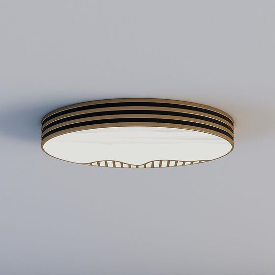 Sleek Modern Ceiling Light 3D model