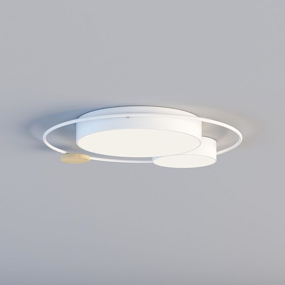 Ring Light Fixture 3D model