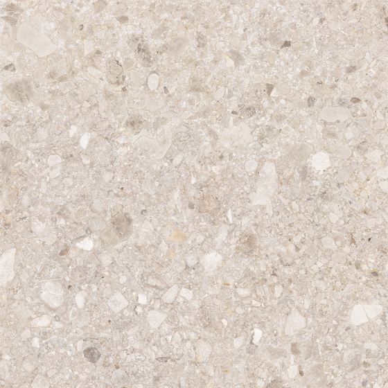 Stylish Terrazzo Tiles in Earth Tone