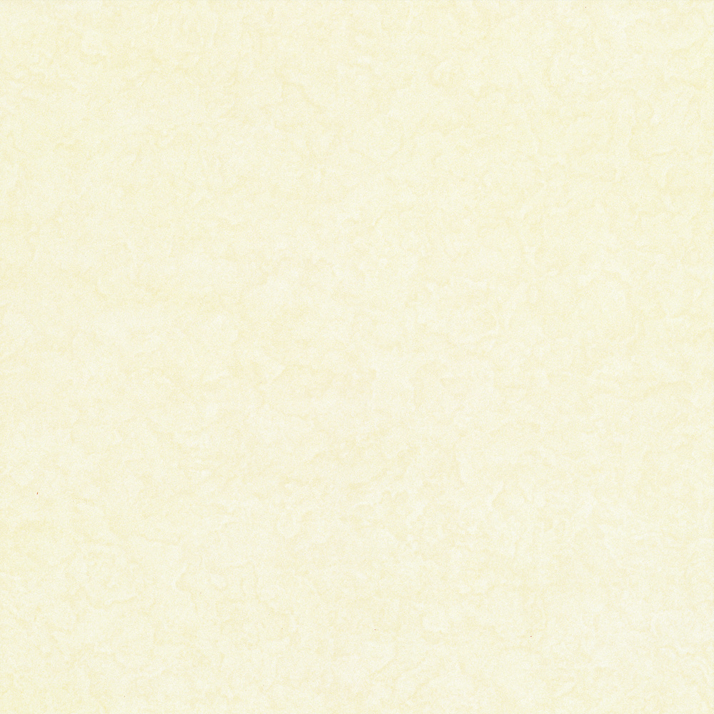 new material-polished brick-2