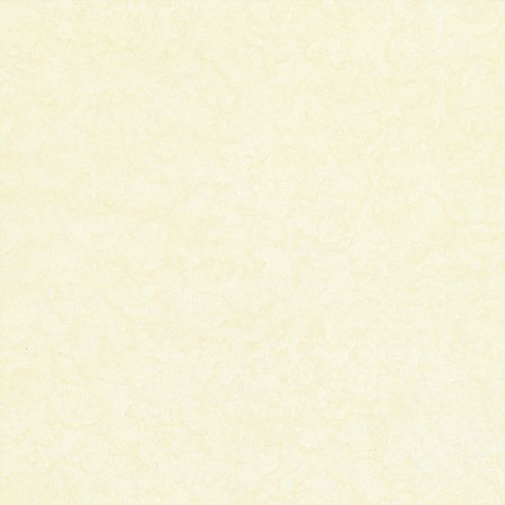 new material-polished brick-2