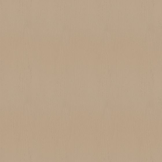 Earth Color Wood Veneer Panel 3D Model