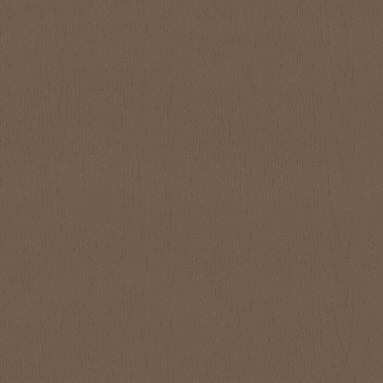 Earth Color Wood Veneer Panel 3D Model