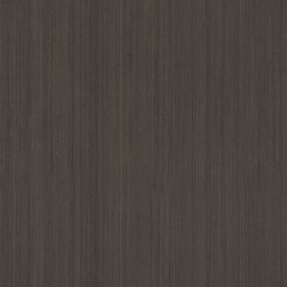 Finish Without Embossing 3D Model in Earth Color
