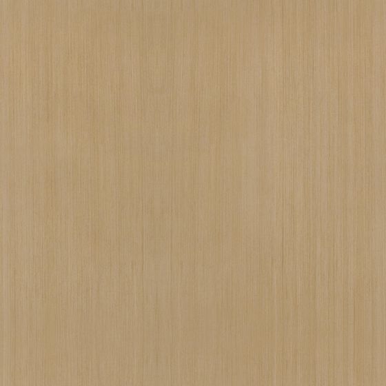 Earth Color Wood Finish Panel 3D Model