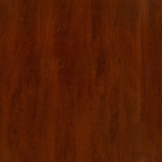 Solid Wood Open Paint 3D Model in Earth Color