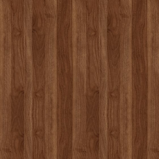 Natural Solid Wood Open Paint 3D Model in Earth Color
