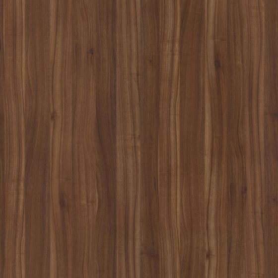Solid Wood Open Paint 3D Model (Version 15) in Earth Color