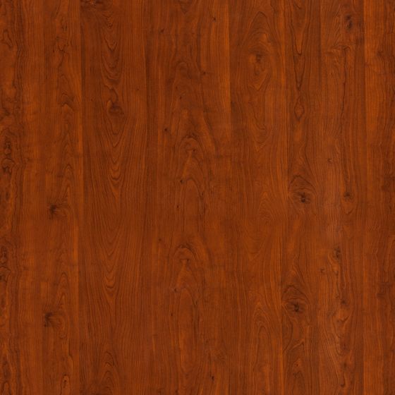 Solid Wood Open Paint 3D Model (Version 5) in Earth Color