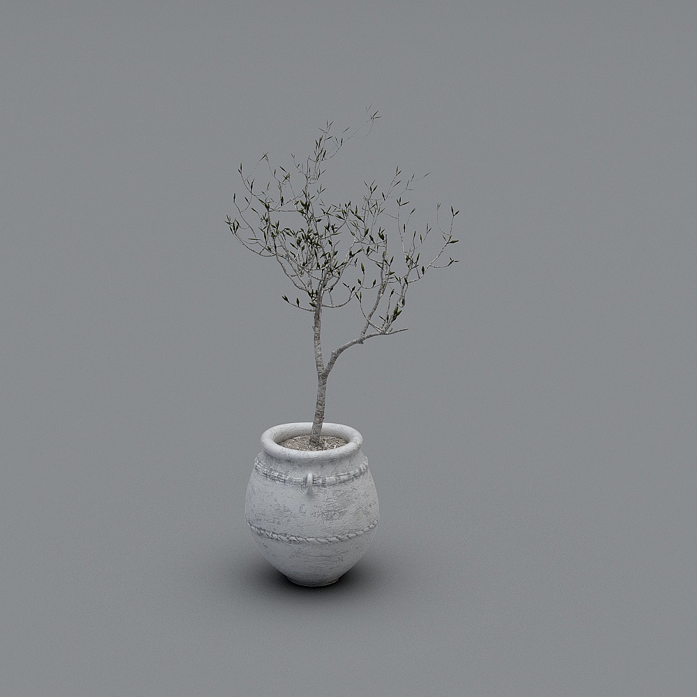 Charming Potted Tree 3D model for Designers