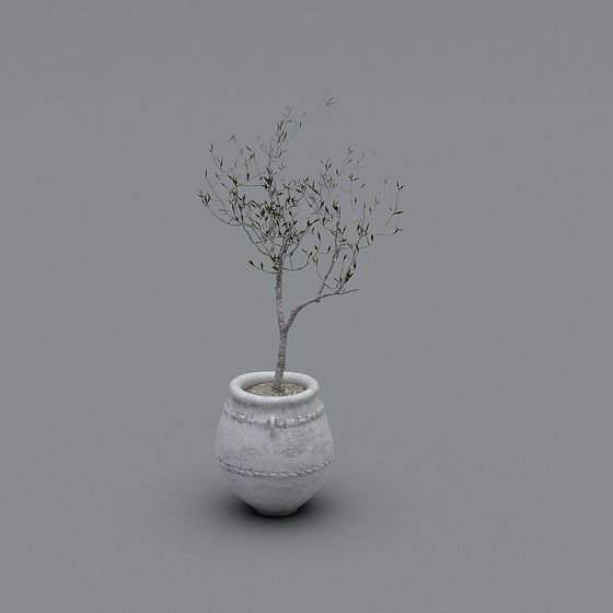 Small green tree in white ceramic pot with rope details on grey background