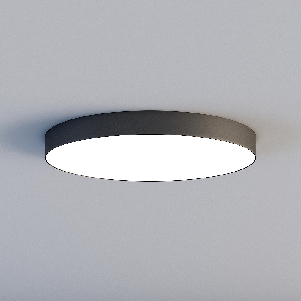 Ceiling light