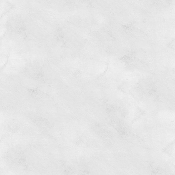 Chic White Wall Paint 3D Model