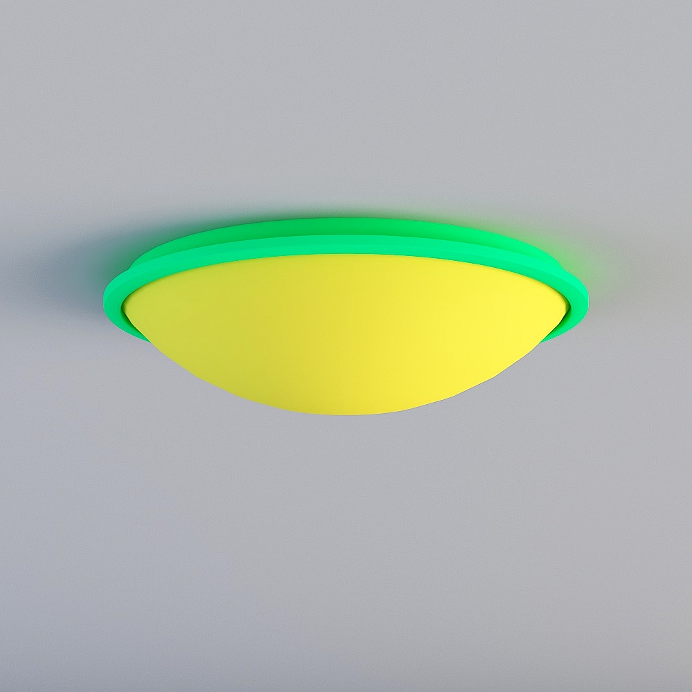 Ceiling light