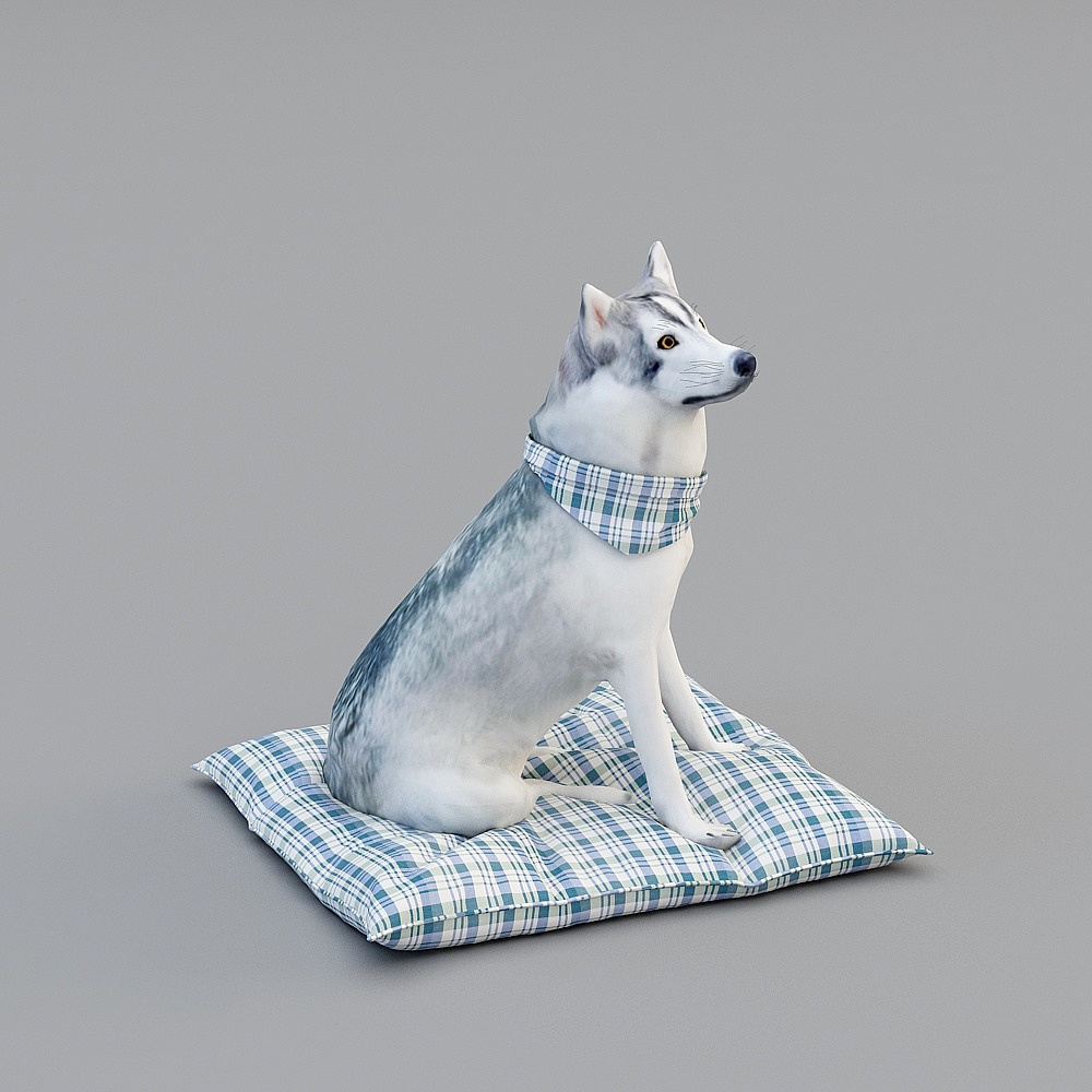 Siberian Husky on Plaid Pillow 3D model