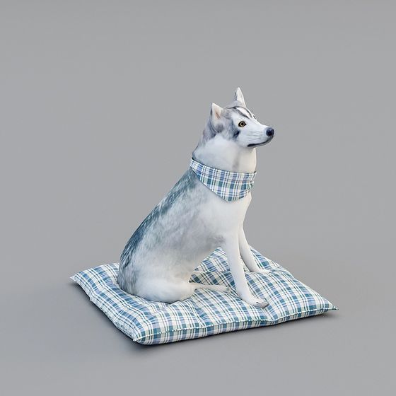 Siberian Husky on Plaid Pillow 3D model