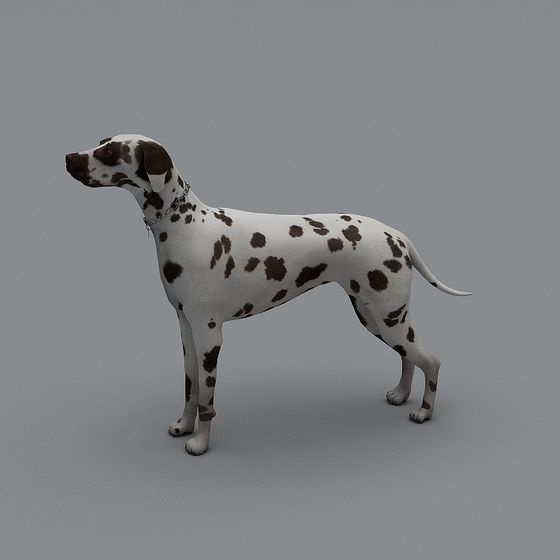 Realistic Dalmatian Dog 3D model