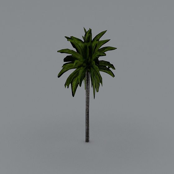 Tropical Palm Tree 3D model