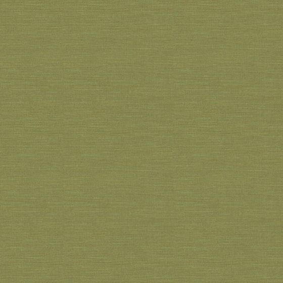 Non-Woven Fabric Wallpaper 3D Model in Earth Color