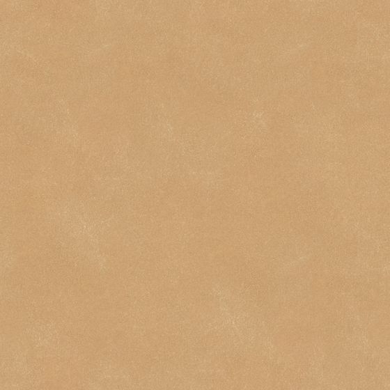 Dutch Art Paint 3D Model in Earth Color for Walls