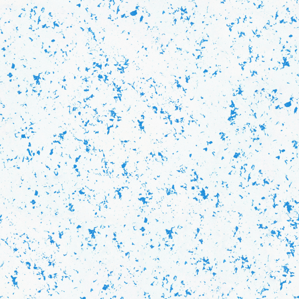 Dutch Emperor Art Paint - Mamara CMA 13