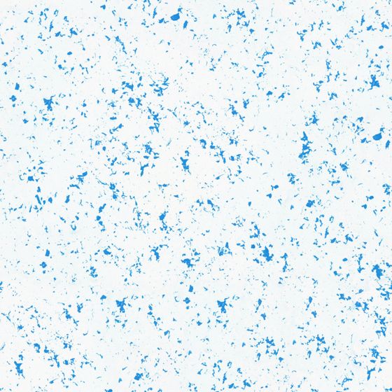 Dutch Emperor Art Paint - Mamara CMA 13