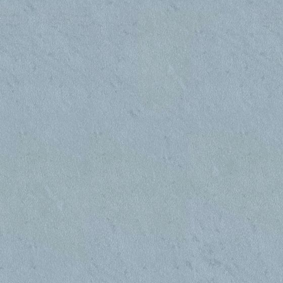 Dutch Emperor Art Coatings - Dirick CAR08