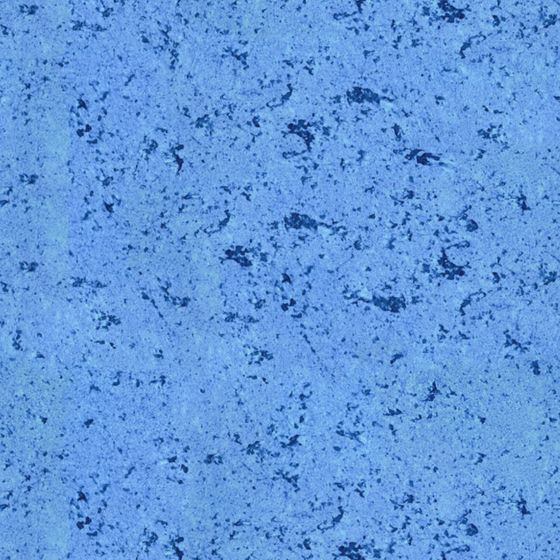 Dutch Emperor Art Coatings - Dirick CAR13