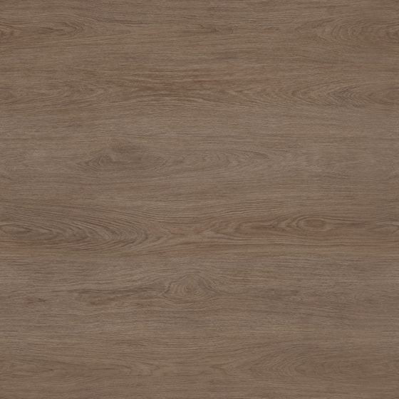 SJ-201209 Drawing 3D Model in Brown Rubber