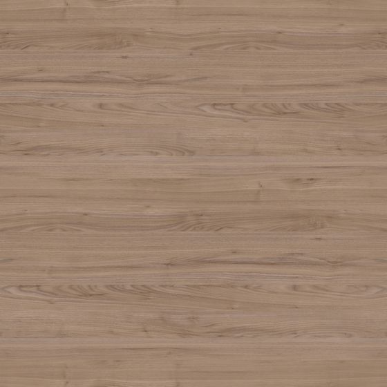 Elegant Kansas Walnut 3D Model in Earth Color