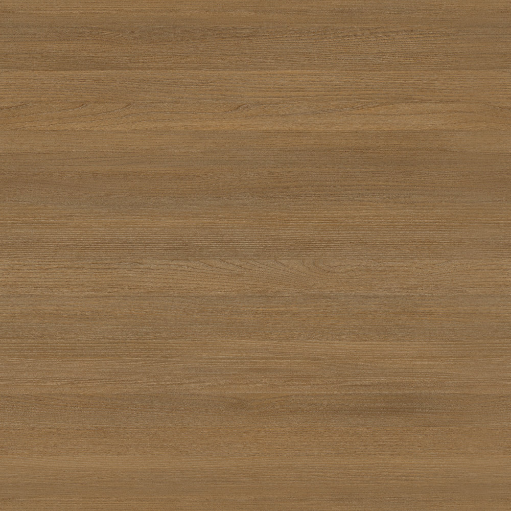 JS-201208 Trancet Oak