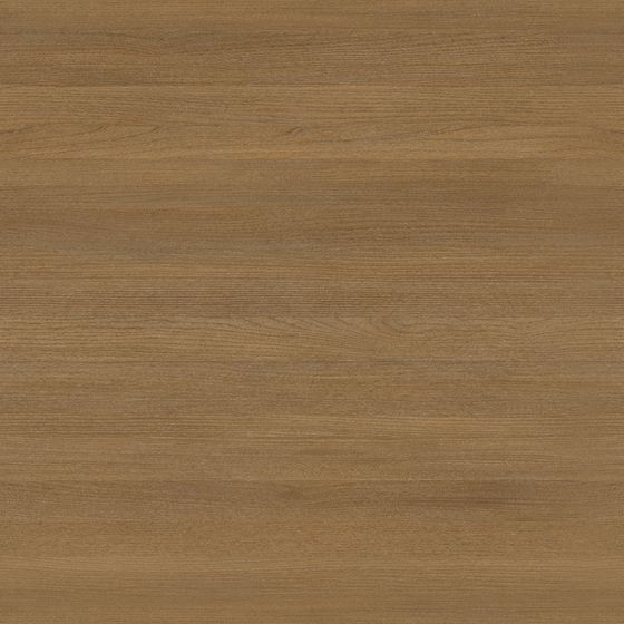 Earth Color Trancet Oak 3D Model