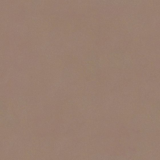 Athens Velvet Wall Paint 3D Model in Caramel Latte