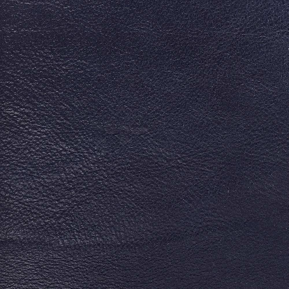 SD Blue Leather (1)