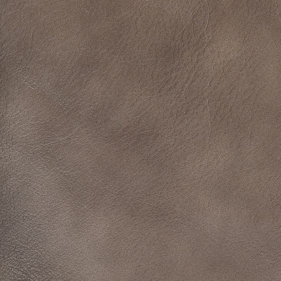 X602-31 Leather Sofa 3D Model in Earth Color